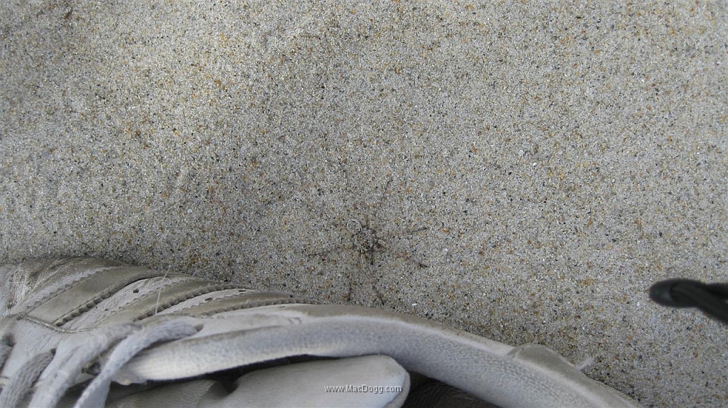 Summer Vacation 2009 Part 2 101.jpg